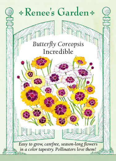 Coreopsis Incredible - Renee's Garden