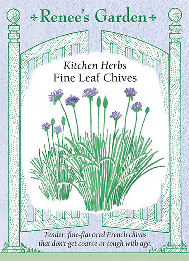 Herb Chives Fine Leaf - Renee's Garden
