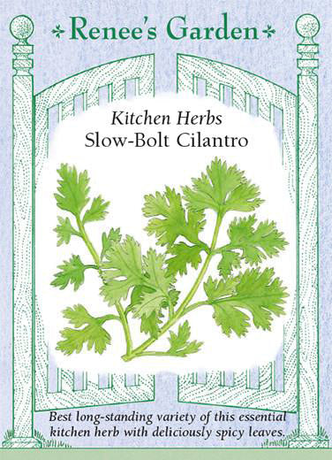 Cilantro Slow-Bolt - Renee's Garden