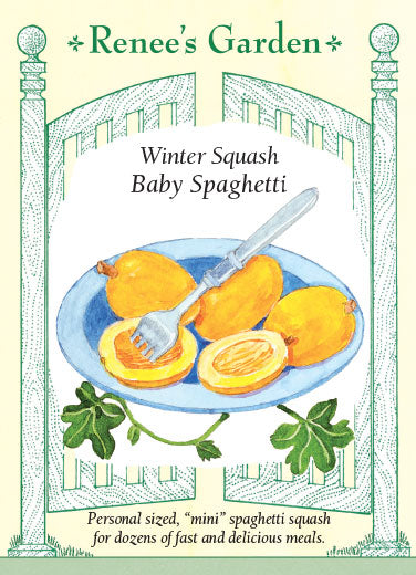 Squash Baby Spaghetti (Winter) - Renee's Garden