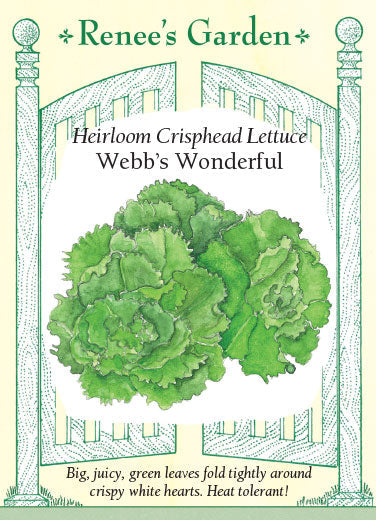 Lettuce Webb's Wonderful - Renee's Garden
