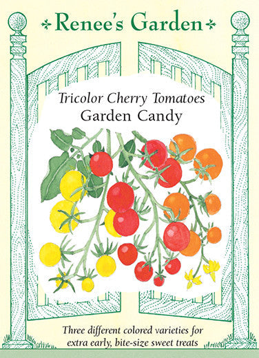 Tomatoes Garden Candy - Renee's Garden