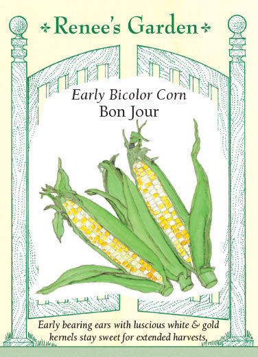 Corn Bon Jour - Renee's Garden