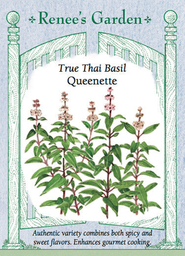 Basil Thai Queenette - Renee's Garden