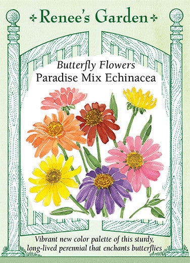 Echinacea Paradise Mix - Renee's Garden
