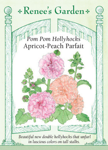 Hollyhock Apricot-Peach Parfait - Renee's Garden