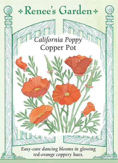 California Poppy Copper Pot - Renee's Garden