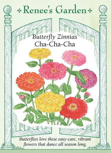 Zinnia Cha-Cha-Cha - Renee's Garden