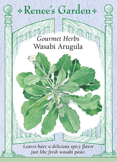 Arugula Wasabi - Renee's Garden