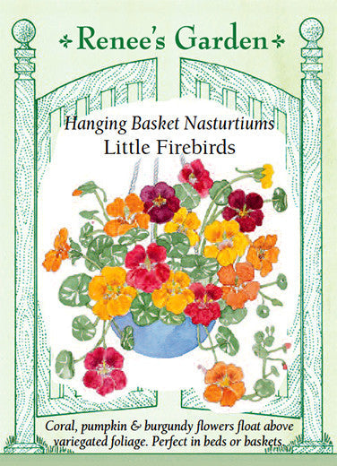 Nasturtium Little Firebirds - Renee's Garden