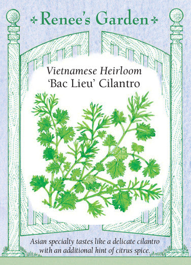 Cilantro Bac Lieu - Renee's Garden