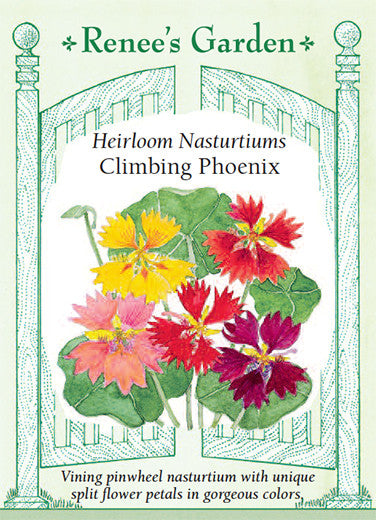 Nasturtium Climbing Phoenix - Renee's Garden