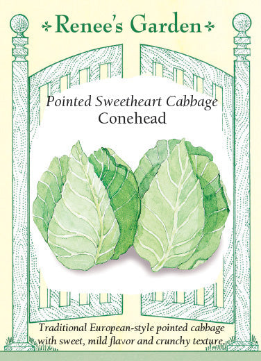 Cabbage Conehead - Renee's Garden