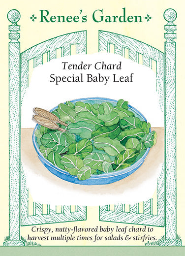 Chard Special Baby Leaf - Renee's Garden
