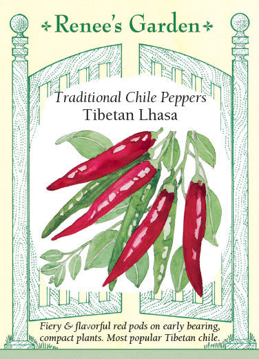 Pepper Tibetan Lhasa - Renee Garden