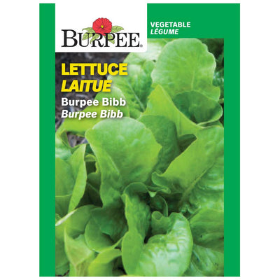 Lettuce Burpee Bibb - Burpee Seeds