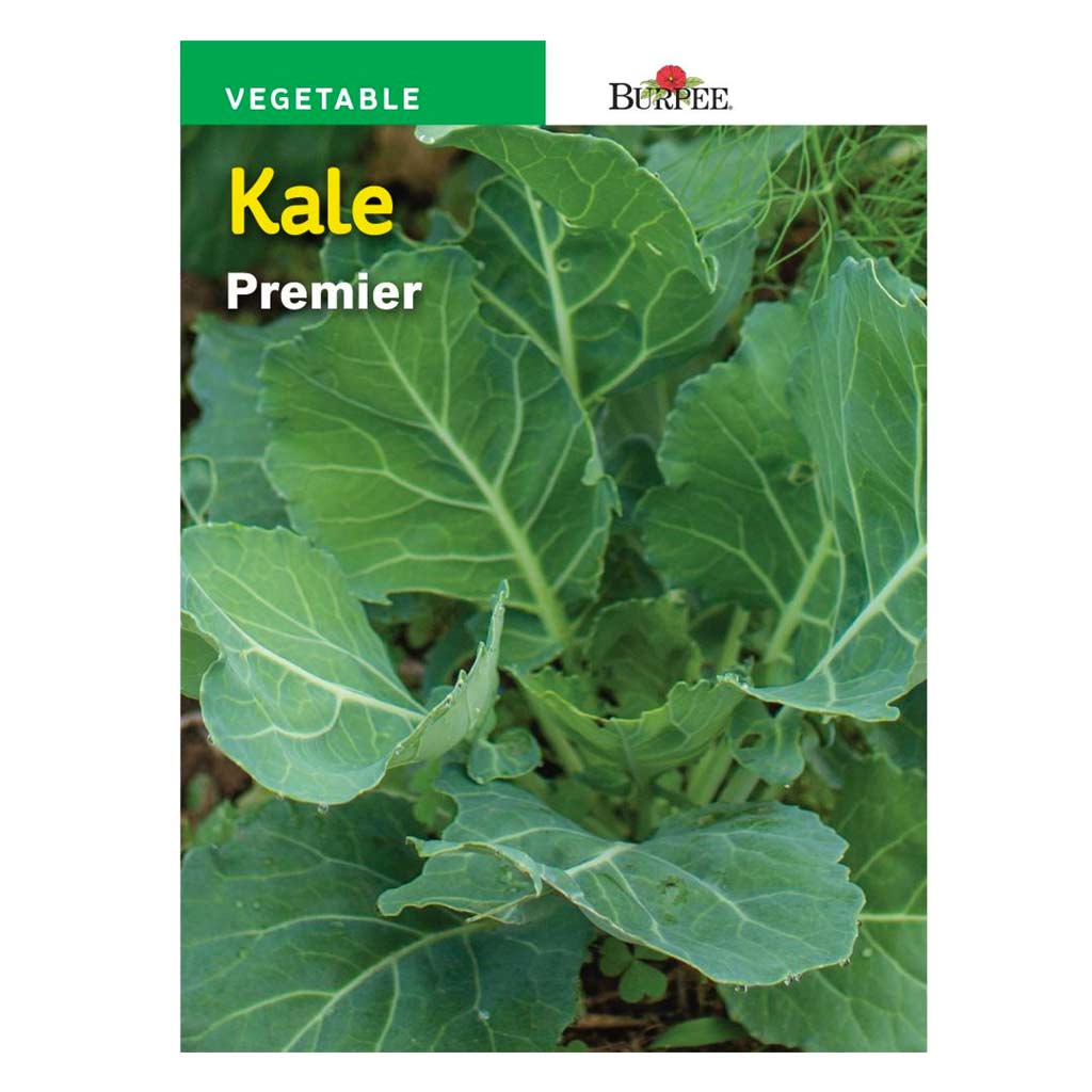 Kale Premier - Burpee Seeds