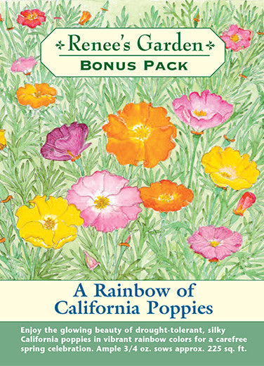 Poppy Rainbow of California Bonus Pack - Renee's Garden