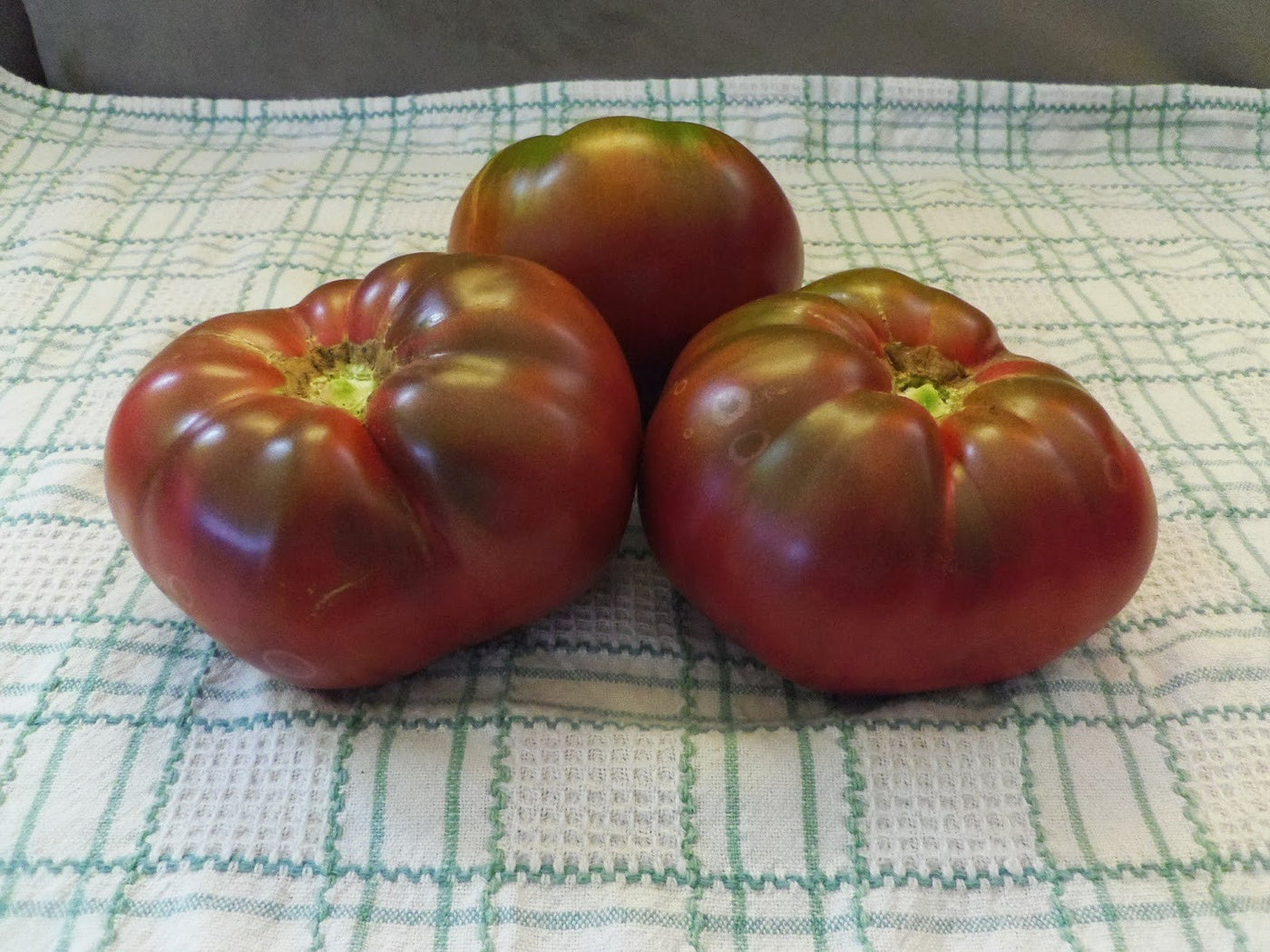 Tomato Black Krim - Salt Spring Seeds
