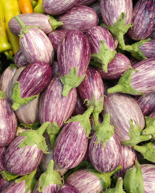 Organic Eggplant Piccolo - West Coast Seeds