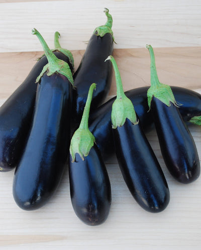 Organic Eggplant Diamond - West Coast Seeds