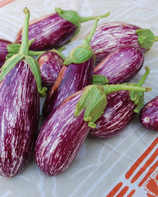 Organic Eggplant Listada De Gandia - West Coast Seeds