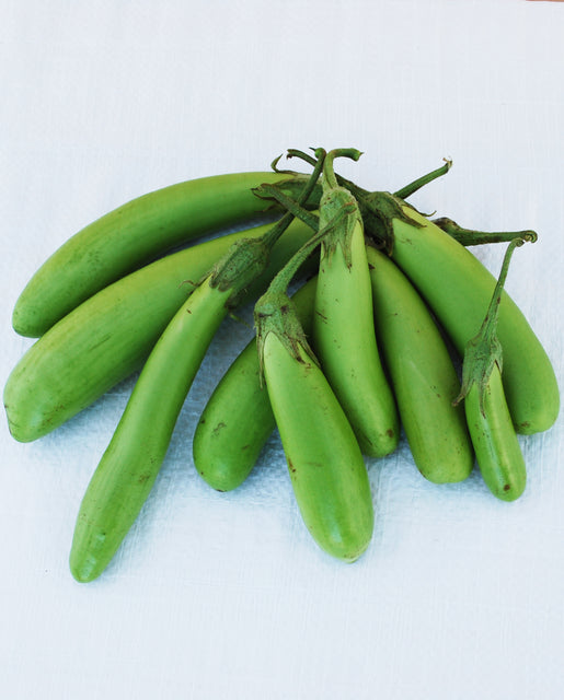 Organic Eggplant Thai Long Green - West Coast Seeds