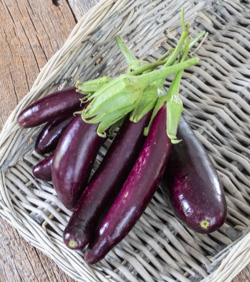 Organic Eggplant Little Finger - West Coast Seeds