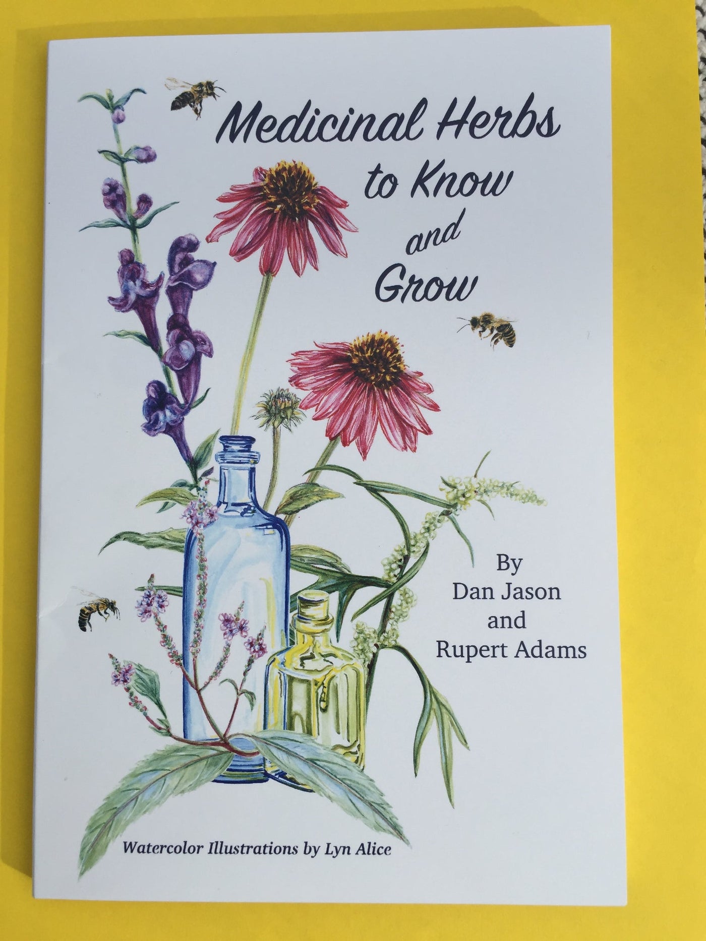 Medicinal Herbs to Know and Grow - Salt Spring Seeds