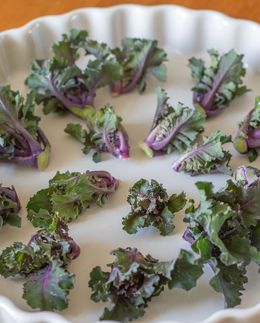 Kale Autumn Star Kalette - West Coast Seeds