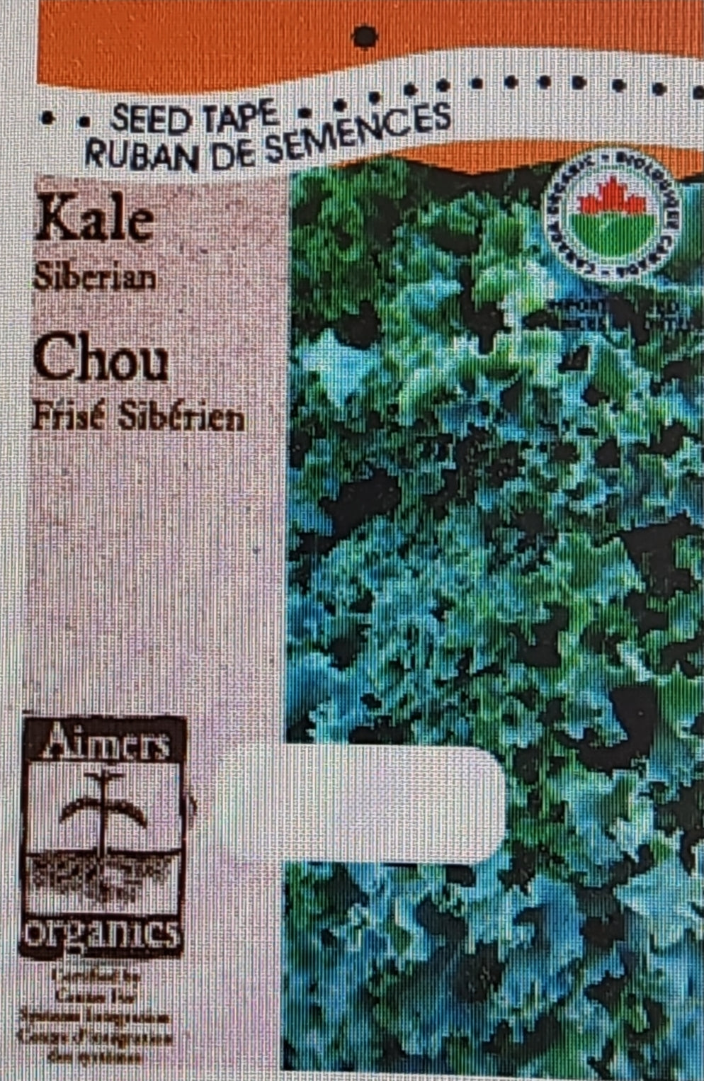 Organic Kale Siberian - Aimers Seed Tape