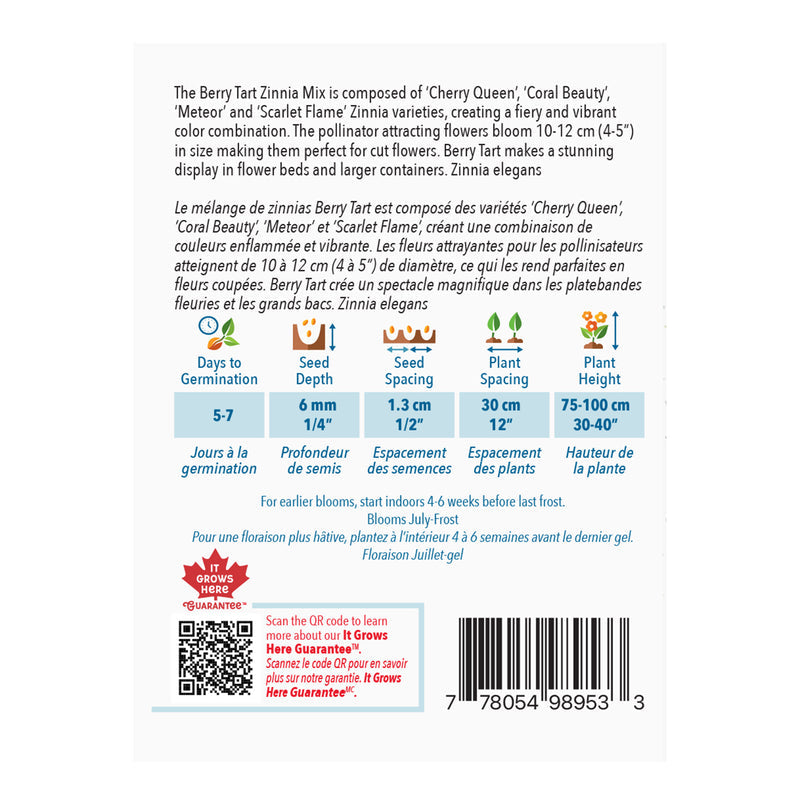 Zinnia Berry Tart Mix - McKenzie Seeds