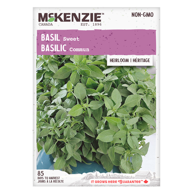 Basil Sweet - McKenzie Seeds