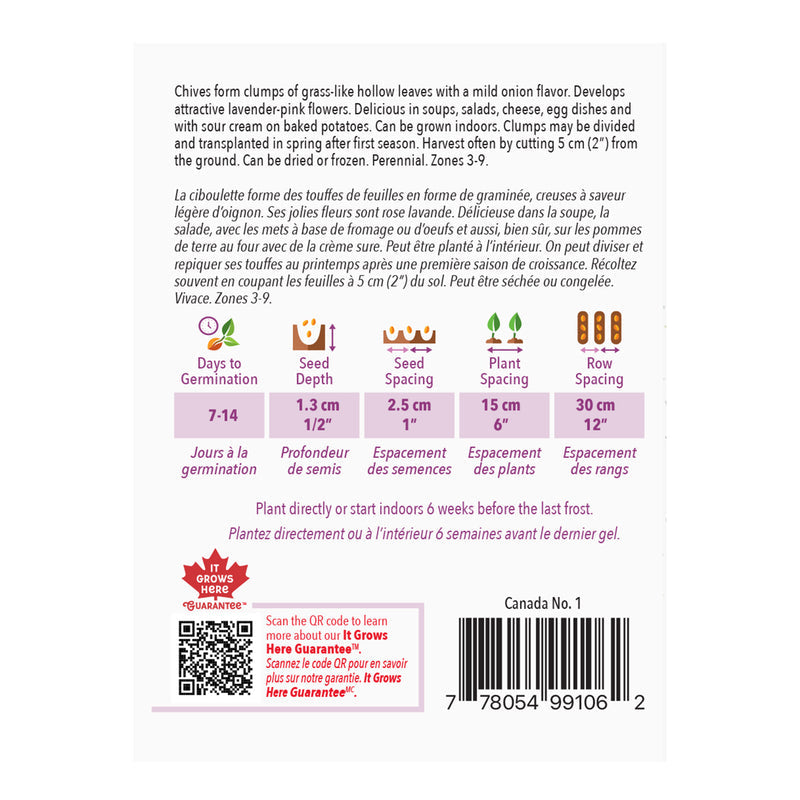 Chives - McKenzie Seeds
