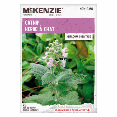 Catnip - McKenzie Seeds