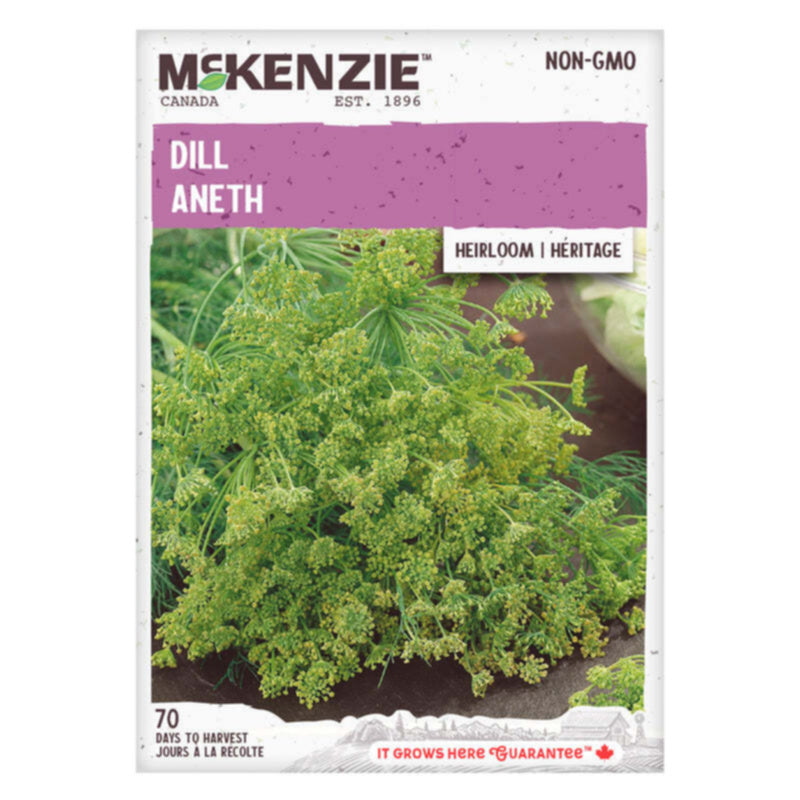 Dill (Bouquet) - McKenzie Seeds