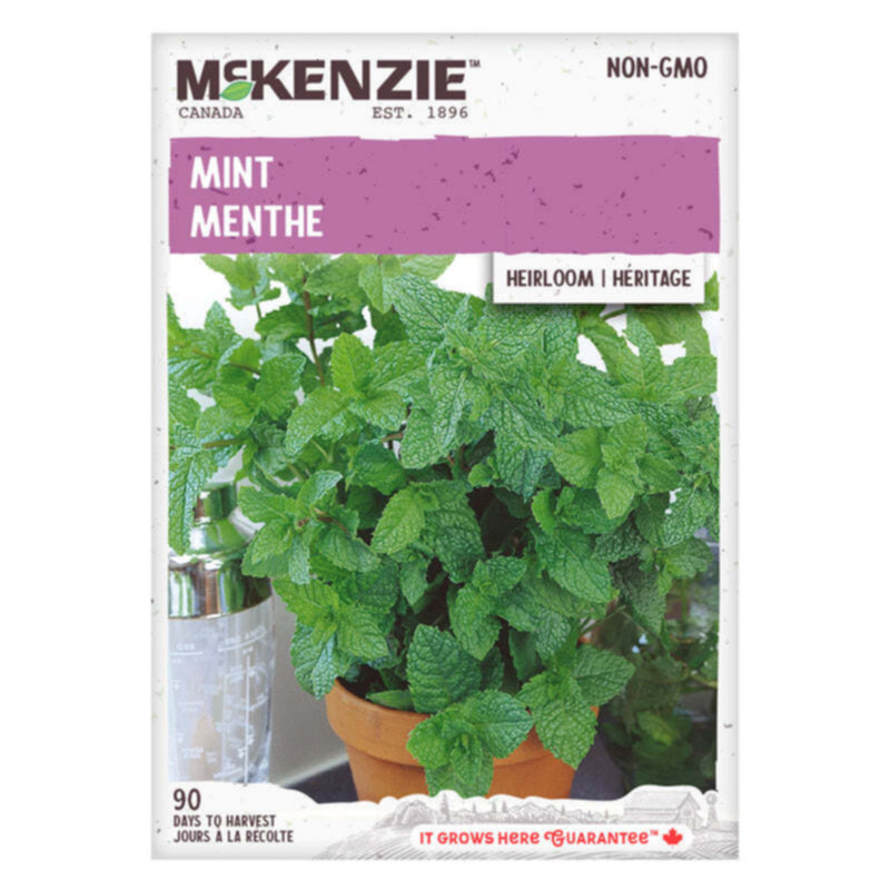 Mint - McKenzie Seeds