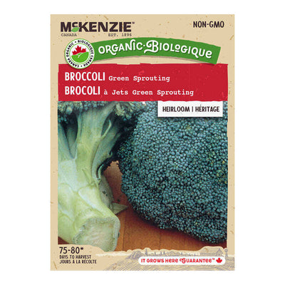 Organic Broccoli Green Sprouting - McKenzie Seeds