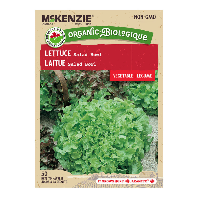 Organic Lettuce Salad Bowl - McKenzie Seeds
