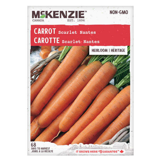 Carrot Scarlet Nantes - McKenzie Seeds