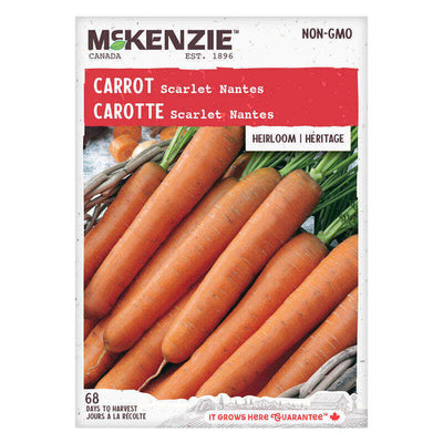 Carrot Scarlet Nantes - McKenzie Seeds