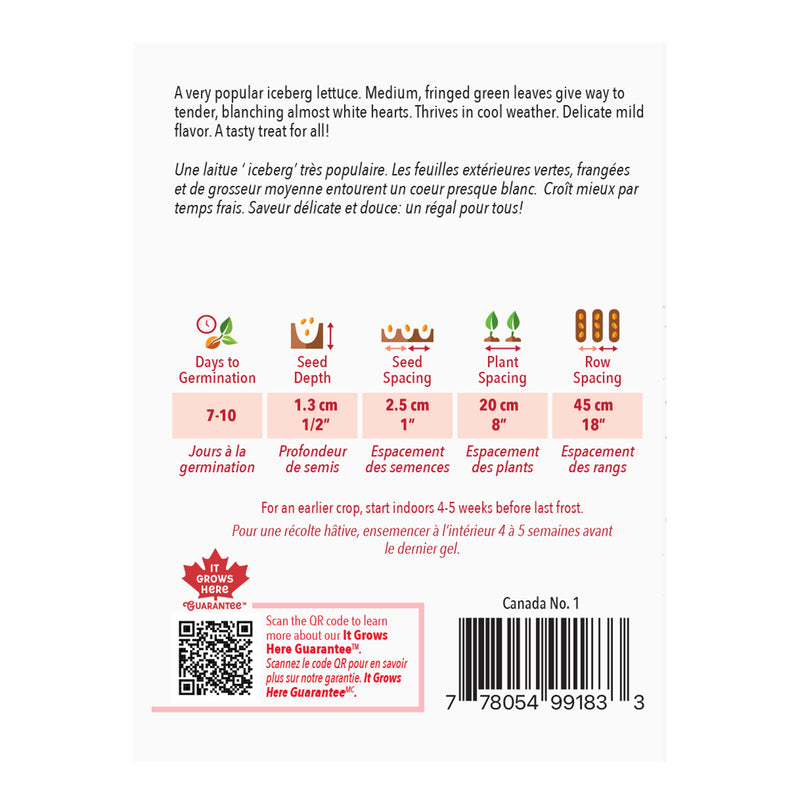 Lettuce Iceberg - McKenzie Seeds
