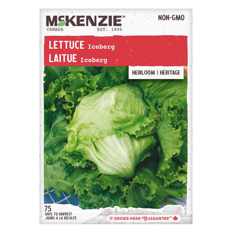 Lettuce Iceberg - McKenzie Seeds