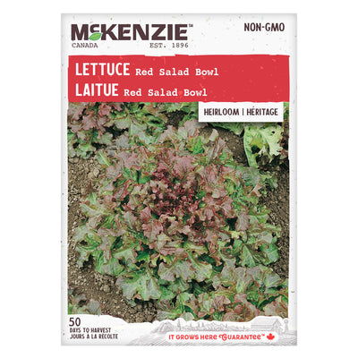Lettuce Red Salad Bowl - McKenzie Seeds