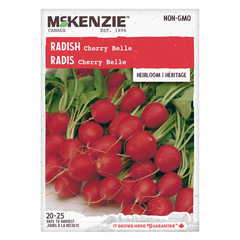 Radish Cherry Belle - McKenzie Seeds