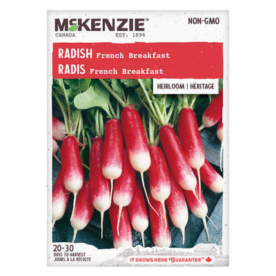 Radish French Breakfast - McKenzie Seeds