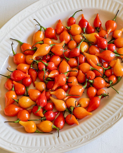 Pepper Biquinho Red - West Coast Seeds