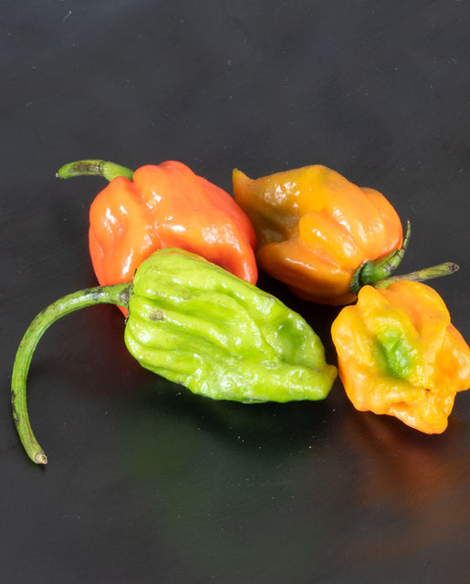 Pepper Trinidad Scorpion - West Coast Seeds