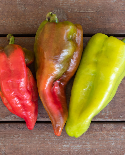 Pepper Beaver Dam - West Coast Seeds