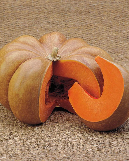 Pumpkin Musquee d'Hiver de Provence - West Coast Seeds